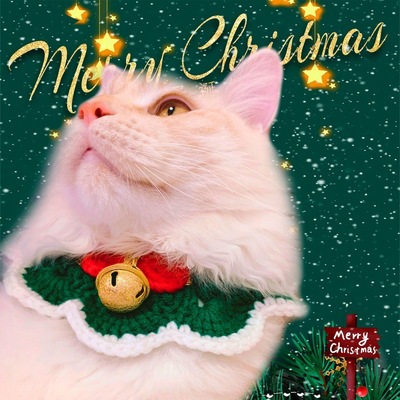 貓咪聖誕節圍脖鈴铛項圈可愛針織口水巾新年圍兜圍巾裝飾品