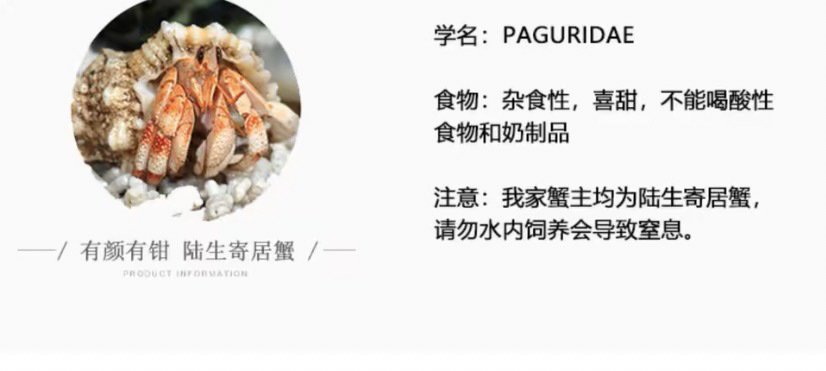 ca650844-f2a1-4822-a2f2-8d81e2c9233e.jpe