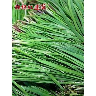 �²����ϸ����~�²˸��F�ڼt���N�ӷN���ļ��̨�Nֲ�����߲˷N��