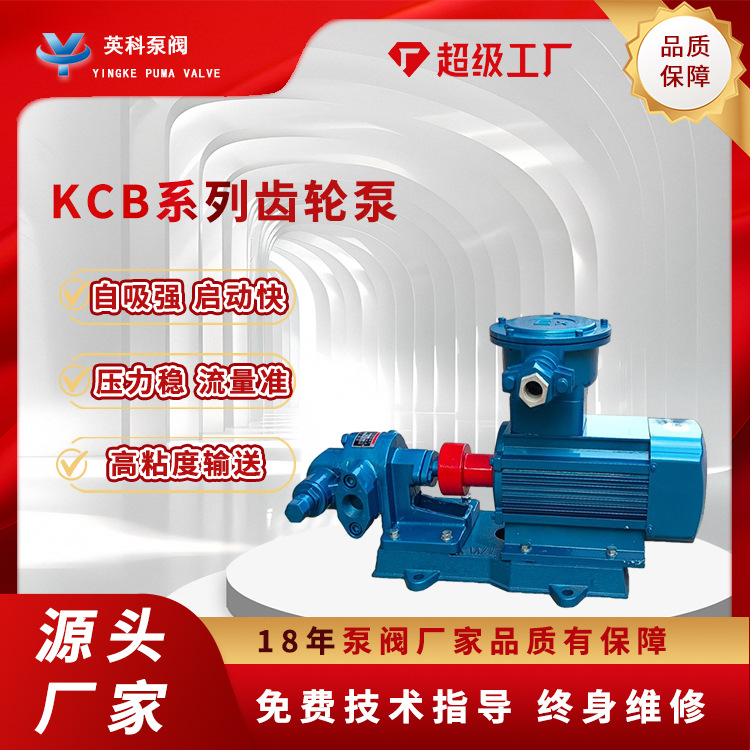 齿轮泵KCB55防爆液压油小型铸铁电动304不锈钢微型涂料齿轮油泵