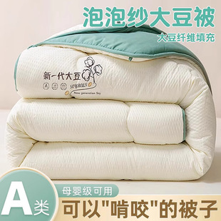 Winter Soy Fiber Quilt Core, Thickened Warm Winter Quilt for Dormitory, Spring and Autumn Single Quilt for Autumn and Winter