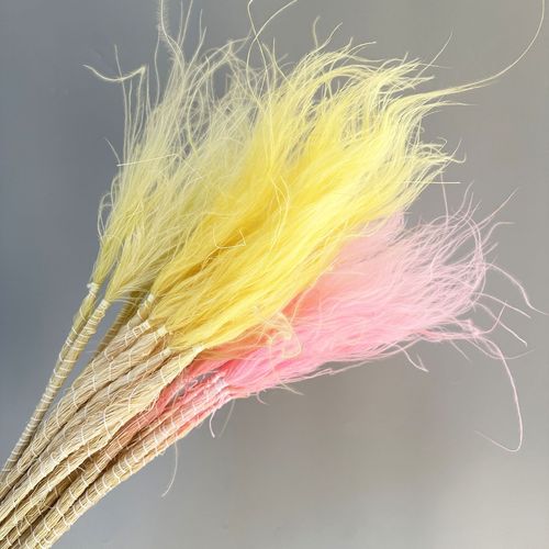 Internet-famous preserved flower long needle feather grass fairy grass dried flower real flower decoration home furnishings photography props materials wholesale