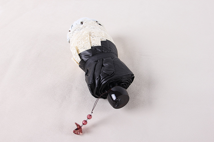 Embroidered Lace Parasol Gothic