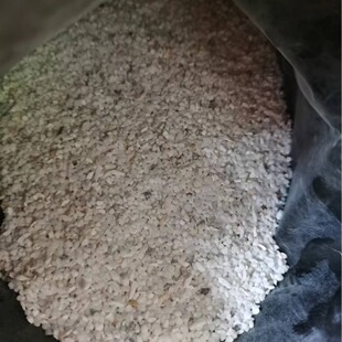 �F؛���l�N�� ʯӢɰ  С��  ����  ʯӢ��