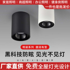 Led明装スポットライト5インチ6インチ8インチ空港高速鉄道駅50W60W80W100W工事は穴を開けないCOBスポットライト