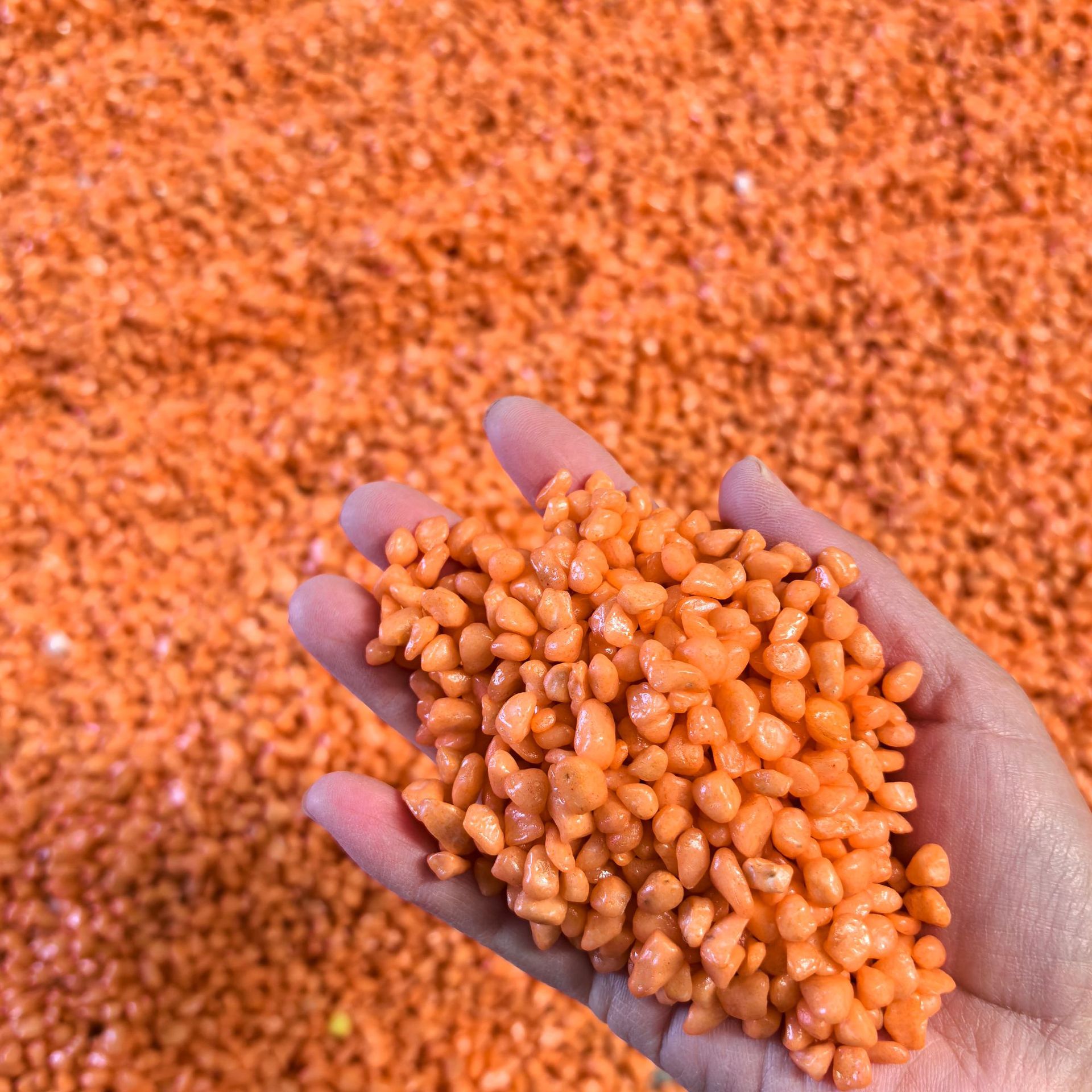 现货批发小石子五彩石批发鱼缸铺底雨花石园艺造景装饰染色七彩鹅