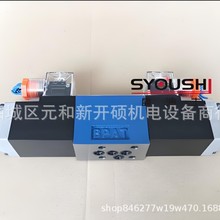 SYOUSHIyDBW10B-2-5X/31.5-G24Z5L DBW10B-1-30B