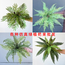 ���l�ָ�ܛ�z�Gֲ����ާ�ֲ����ާ�ݲ�˹�ݷ���ֲ�����ԾӼ�