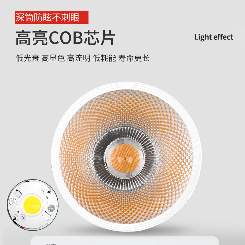 Built-in lamp, LED changeable lights, liner, bulb, ceiling light, accessories