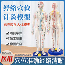 �ᷫ���Ѩλ����ģ��ȫ��������ҽʮ������ͼСƤ��������ϰͭ��