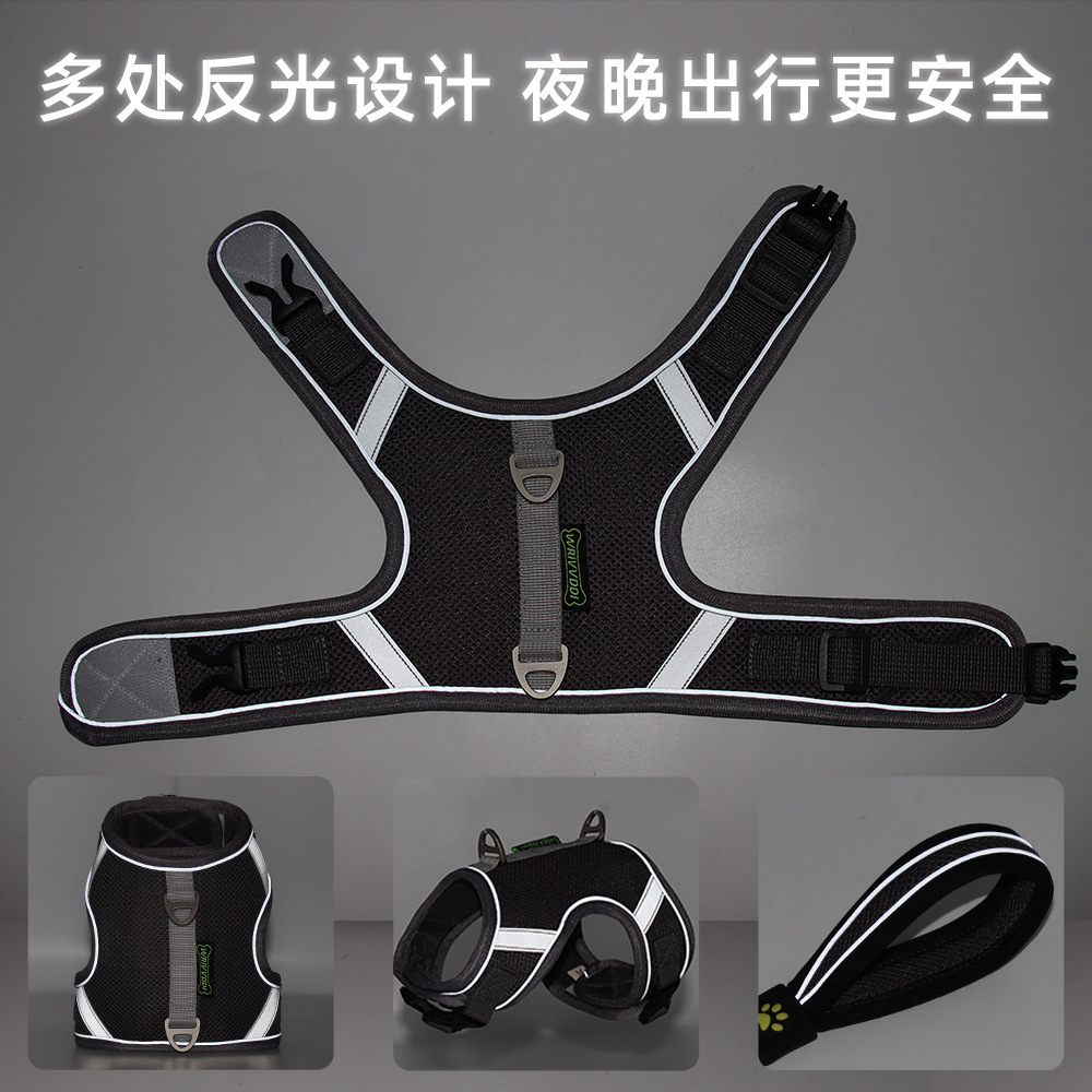 (2개) (CLEAROUT) 9.9 무료 배송 개 하네스 가죽 끈 고양이 중소형 개 하네스 개 가죽 끈 개 체인