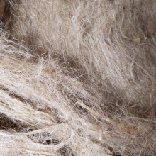 �S��z�B���C�B���B�C�|�����B ܽ���B ��������zȸ���C���¿�