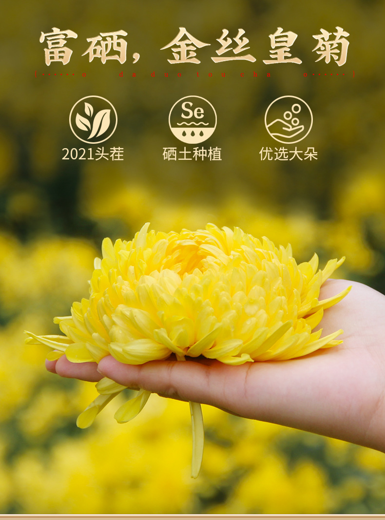 O1CN012SPwDH1KjBaxJYZjh_!!2454