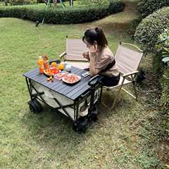 Manufacturer Direct Supply Outdoor Camping Cart, Campsite Aggregate Model, Small Hand-Pulled Travel Cart, Street Vending Camping Cart