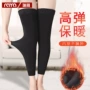 加长款弹力男女加绒护腿