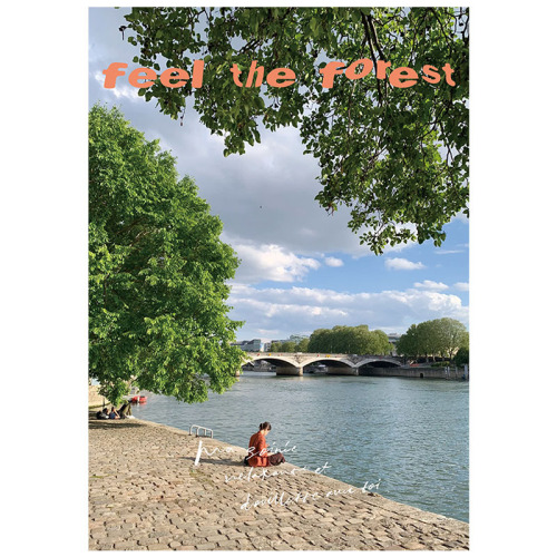 feel the forest feel the autumn feeling of the forest art poster Korean ins fresh decorative hanging painting