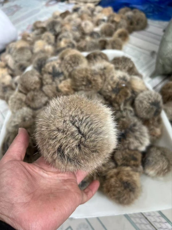 現物8cm天然色の本物のウサギの毛皮の毛玉が猫の豊容のおもちゃを笑わせます。|undefined