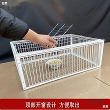 ��������ץ���ӻ\ȫ�Ԅ�ֻ�M��������Ұ�����䷽�����������̫��