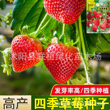 �ļ���ݮ�N�������Ͳ�ݮ�����ļ��_���Y���҃��⻨�������̨���N