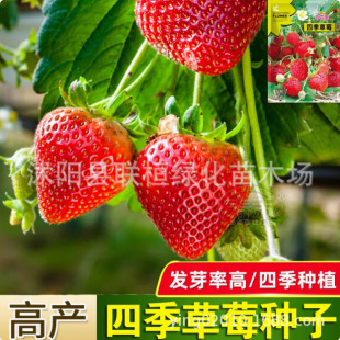 �ļ���ݮ�N�������Ͳ�ݮ�����ļ��_���Y���҃��⻨�������̨���N