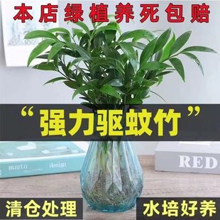 ˮֲԾGֲ҃Ȼܿ͏dֲxGֲ