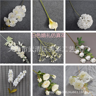 ��ɫ���滨�Ƶ��Y�û��Ļ�c�ٻ��廨��Y��픻�ˇ·���b��~