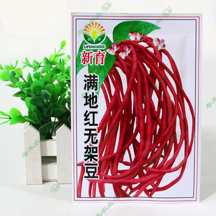 �M�ؼt���¼t�o�ܶ��N�Ӵ���t�����N���ļ����Ǳⶹ�߲��ݼt����