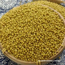 �F�������خa���w��׿��w������w������w�����ȴּZ�s�Z���l