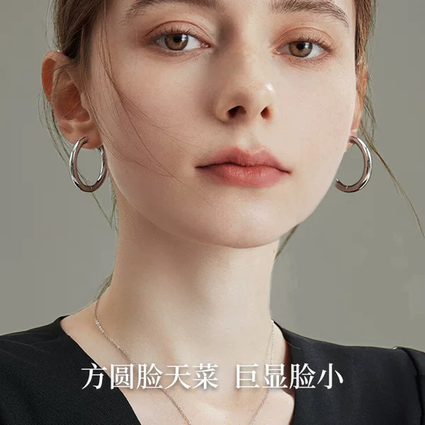 925 Silver Needle Plain Hoop Earrings for Women, Large Circle, Non-Fading, Accessible Luxury, 2025 New Style, High-End Earrings, Small Earrings