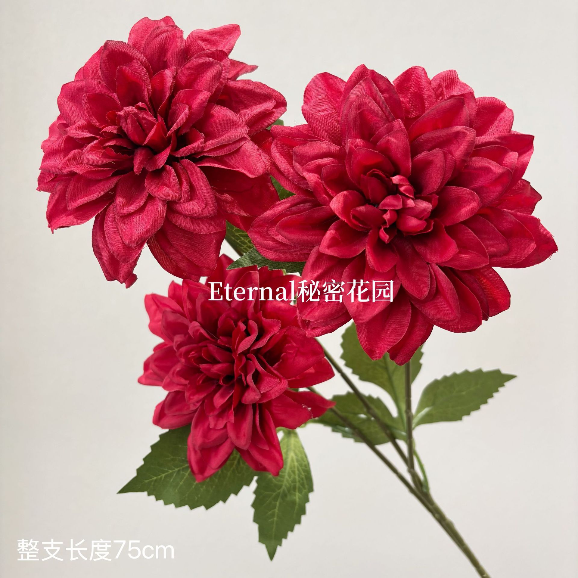 세 개의 머리를 가진 아름다운 꽃