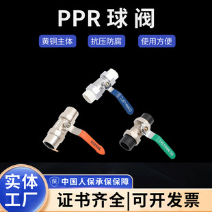 ��h�S�����l�S�~ppr������y�_�P4���քӹܵ�ˮ���p������y