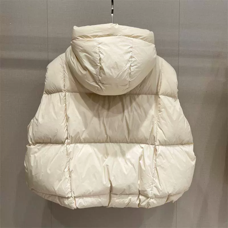 Европейские корейские с капюшоном модные пуховые хлопковые жилеты женские новые осенние и зимние