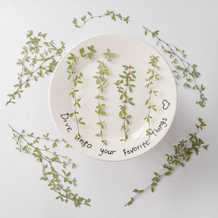 Closing grass branch dried flower embossed plant specimen handmade photo frame drop glue bookmark real leaf sticker diy material