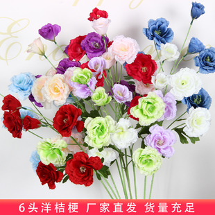 ���滨6�^��۹����Ƶ��Y��·���b�픆�֧�廨�ļٻ�����