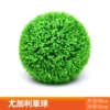 Green eucalyptus grass ball (outer diameter 50cm)