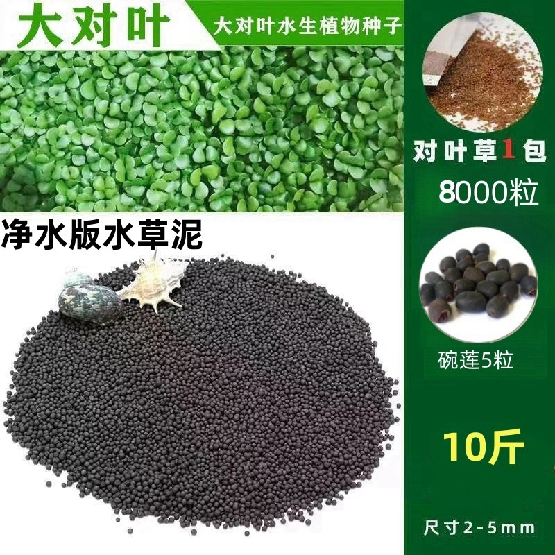 [핫세일] 워터그라스머드 5kg - 큰잎무료 8,000개 + 그릇연꽃 5개