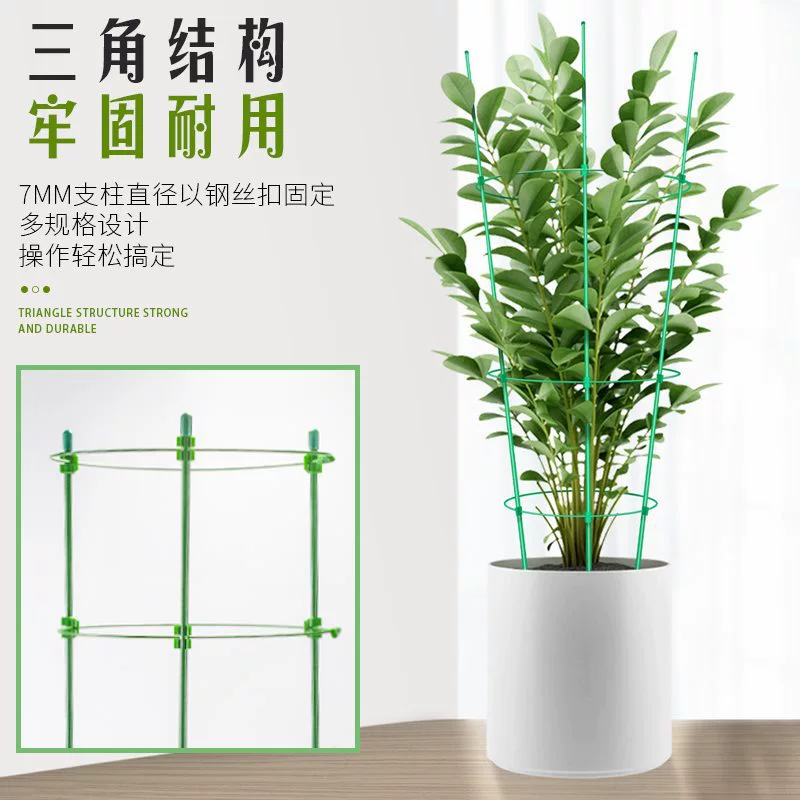 Timeto -когда л 클imbing Flower Gardening Pillar Balcony Green Rose Rose Rose Tienine Lotus Teng Botan Plants Climbing Crab Claw Support Ring