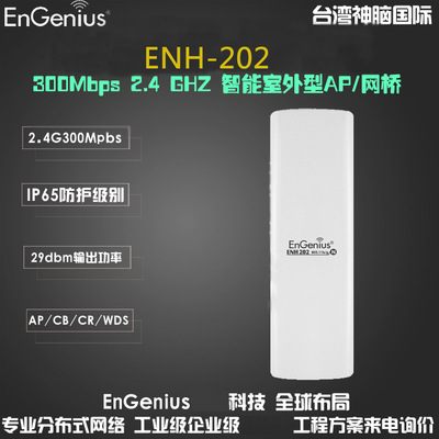 ENH202台湾神脑 300M无线传输设备 长距离无线网桥  企业级无线ap|ms