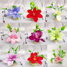 ���滨��С�[������P��Ƶ�͏d����c�Y��߅�b����ϯ�[�P