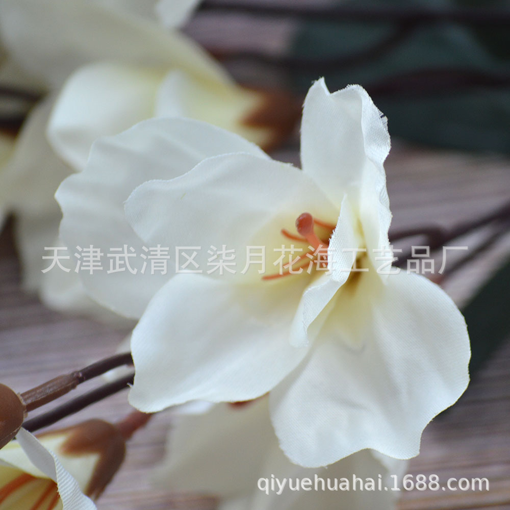 Flor artificial transfronteriza 5-tenedor Magnolia decoración del hogar otoño mango haz Phalaenopsis jardín Greening Taran Comercio exterior flor falsa