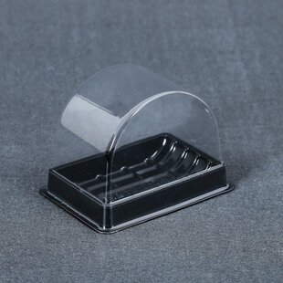 Dongguan Source Factory Specializes in the Production of Pet Food-Grade Pastry Snacks Biscuits Blister Box Pp Blister Inner Tray