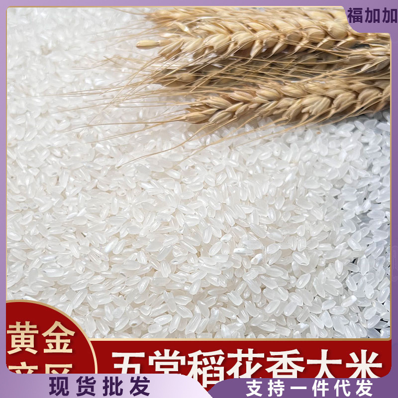 五常大米10斤20农家厂家直销批发|undefined