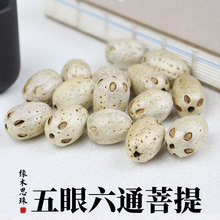 厂家批发五眼六通菩提子散珠原籽五眼果南酸枣DIY手串念珠配件