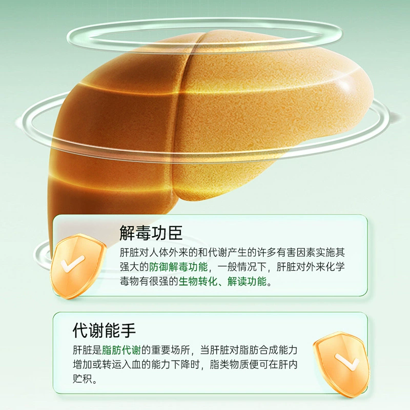 Капсулы для защиты печени и питания Ganoderma lucidum пыльца сосны, поздно и сверхурочная работа, защита пятен, оптом, Blue Hat, здоровая пища, OEM