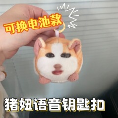 碧昂斯人脸荷兰猪猪妞语音挂件按压发声毛绒玩偶抽象饰品语音互动
