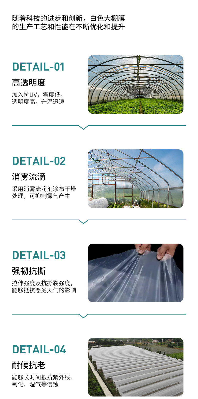 出口白色20丝25丝大棚膜详情页（潍坊）_04.jpg