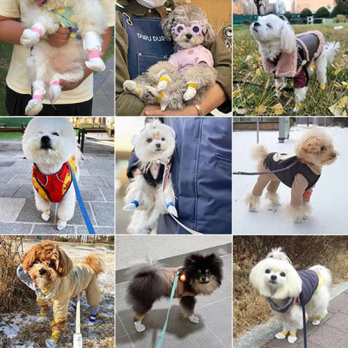 Pet Disposable Paws Booties for Dogs, Anti-Dirt Shoes, Pet Outdoor Walking Socks, Teddy Anti-Dust Foot Covers
