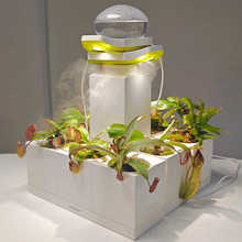 �i�\�� LeGrow�M�����滨�躬ֲ������ӝ��� �m��ʳ�xֲ�����