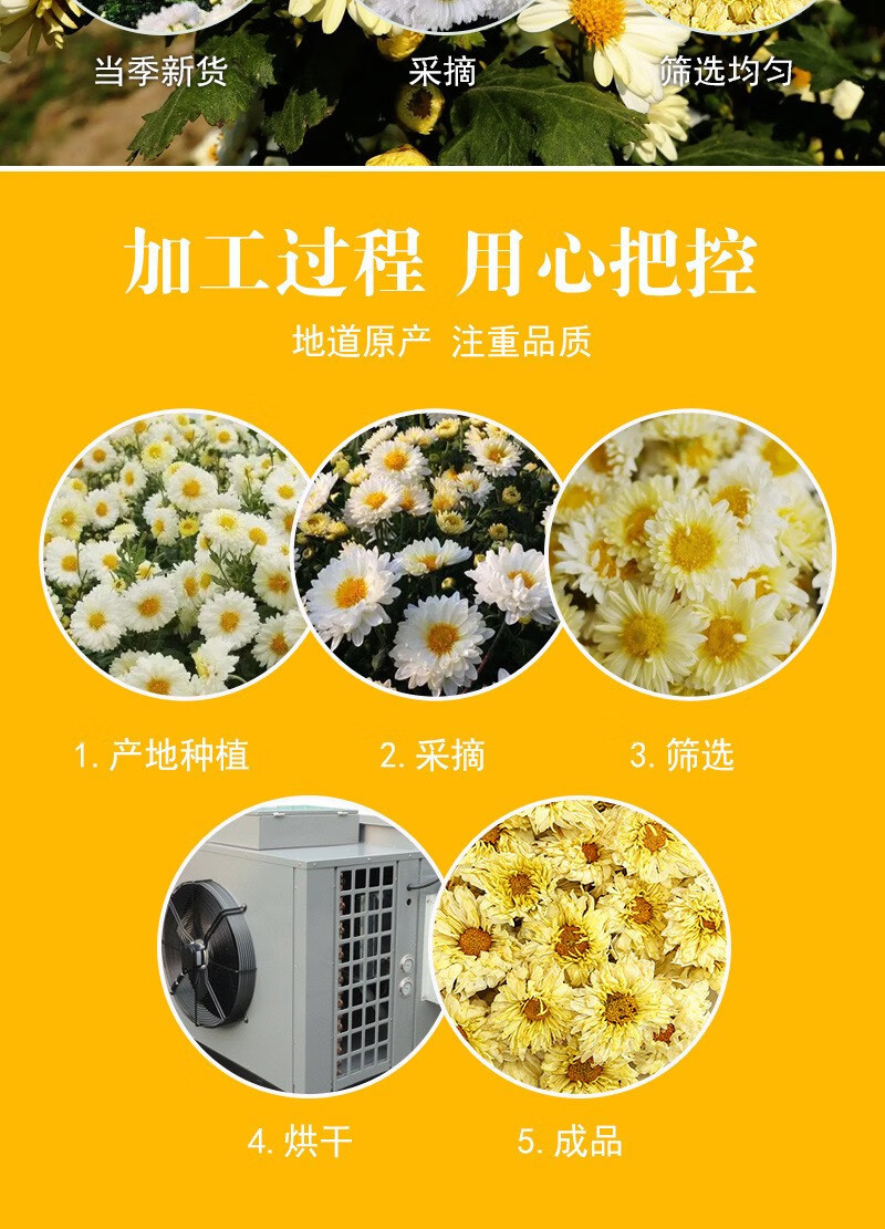 Hang Bai Ju Chrysanthemum Tea Dried Hangzhou White Chrysanthemum Flowers 500g Loose Bulk Bag quality and texture