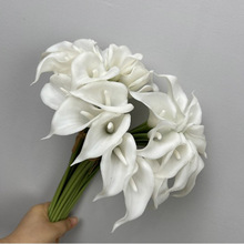 l滨5ɫRɏ Իpu|溣Ҿƿ¿